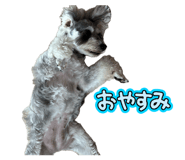 843661344