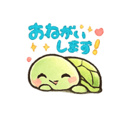 843661549