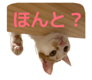 843662162