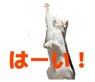 843662166