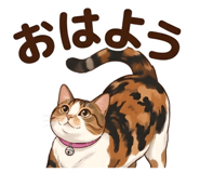 843662273