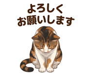 843662278