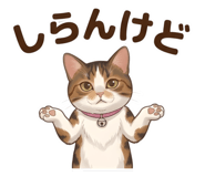 843662293