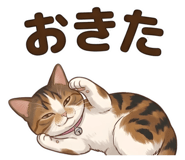 843662297