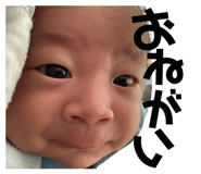 843662582