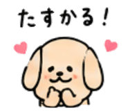 843663253