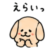 843663255