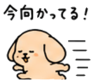 843663260
