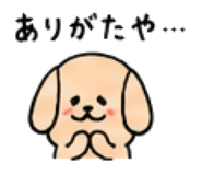 843663264