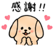 843663265