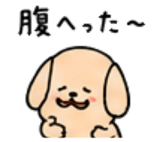 843663271