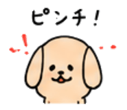 843663281