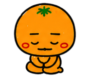 843663295