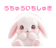 843663312