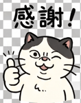 843665229
