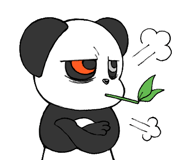843666077