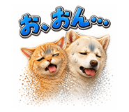 843666399