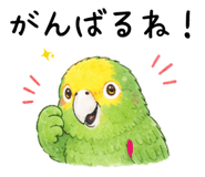843667065