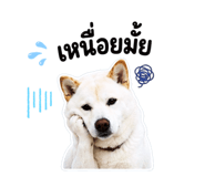 843688815