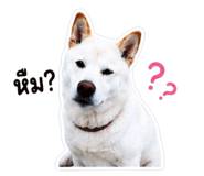 843688816