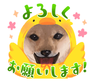 843688866