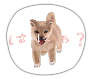 843688877