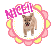 843688881