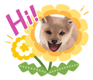 843688882