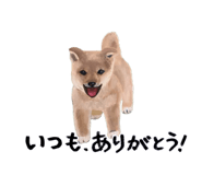 843688884