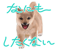 843688887
