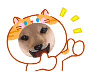 843688892
