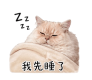 843689816