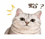 843691118