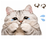843691121