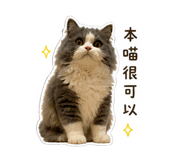 843691161