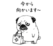 843691825
