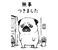 843691827
