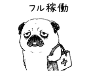 843691837