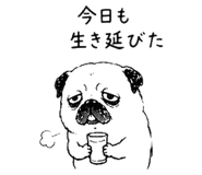 843691842