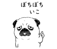843691843