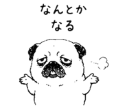 843691845