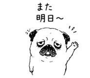 843691847