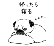 843691848