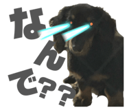 843692589