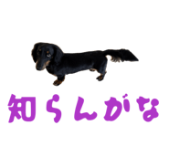 843692619