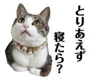 843692744
