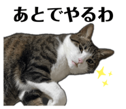 843692746