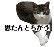 843692756