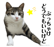 843692767