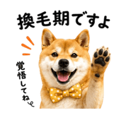 843692865